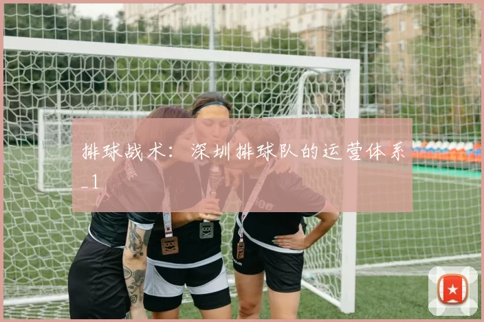 排球战术：深圳排球队的运营体系_1